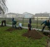 Projekt Arboretum pro slavíky - úprava zahrady - 29.3.2014